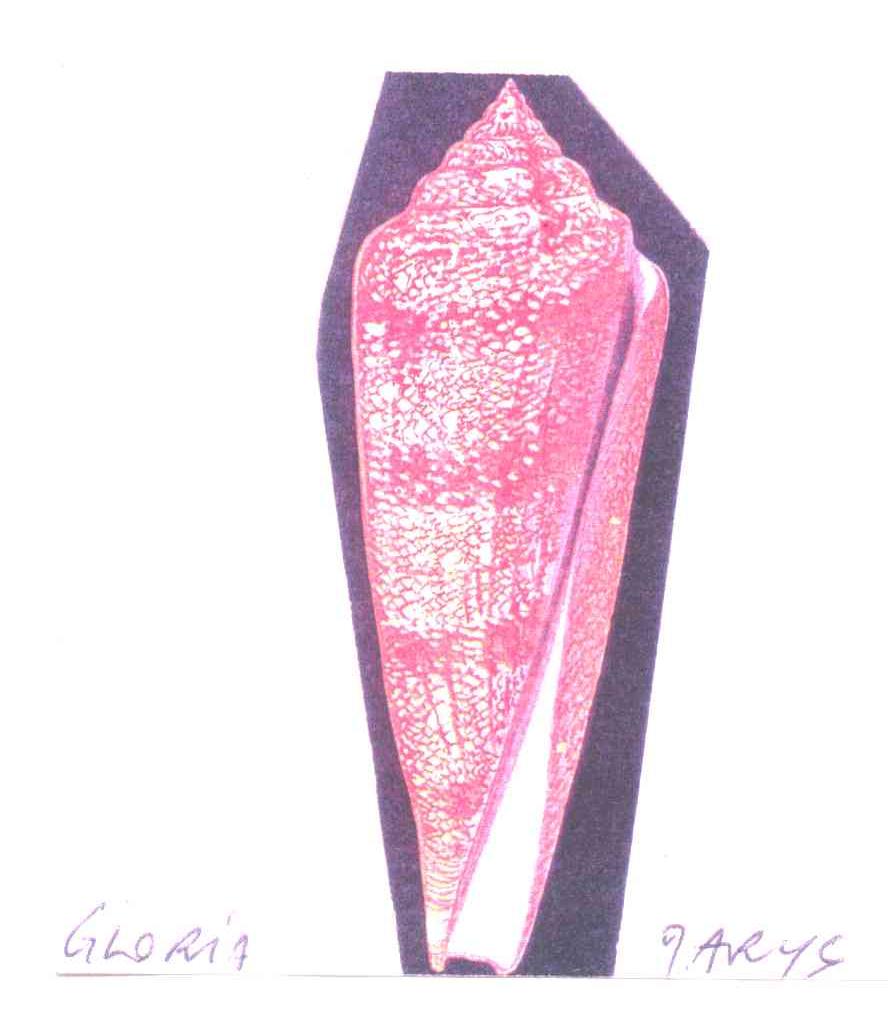 GLORIA JARYS