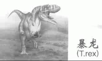 暴龙;T.REX
