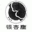 银杏鹰