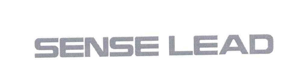 SENSE LEAD