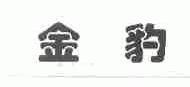 金豹