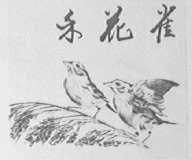 禾花雀