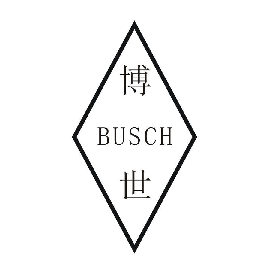 博世 BUSCH
