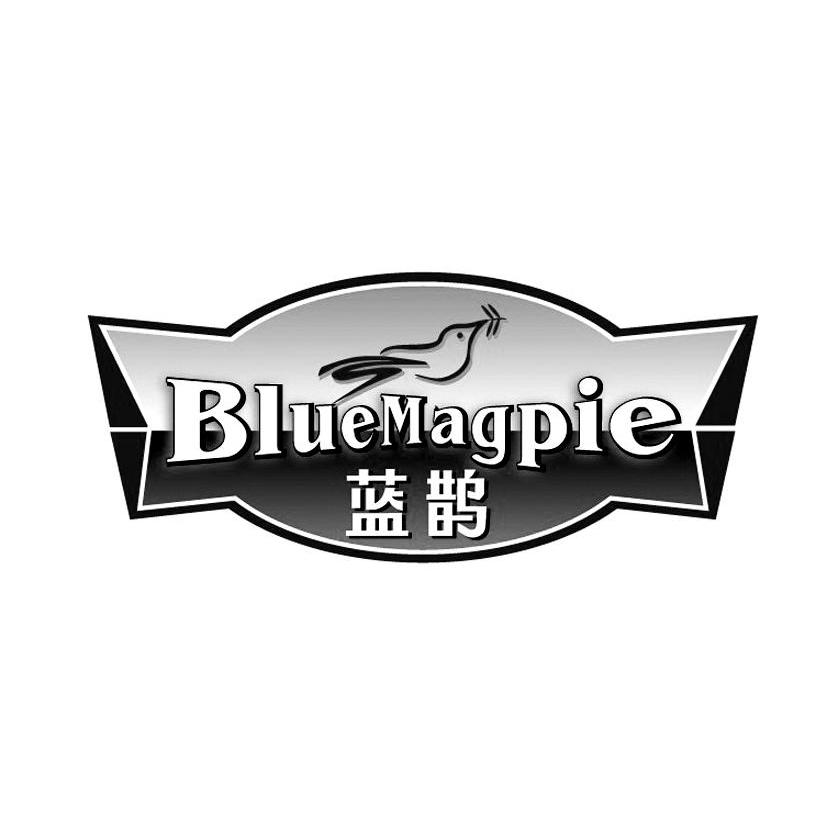 蓝鹊 BLUEMAGPIE