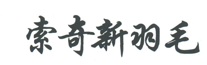 索奇新羽毛