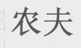 农夫
