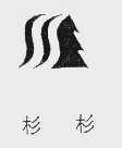 杉杉