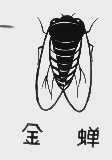 金蝉