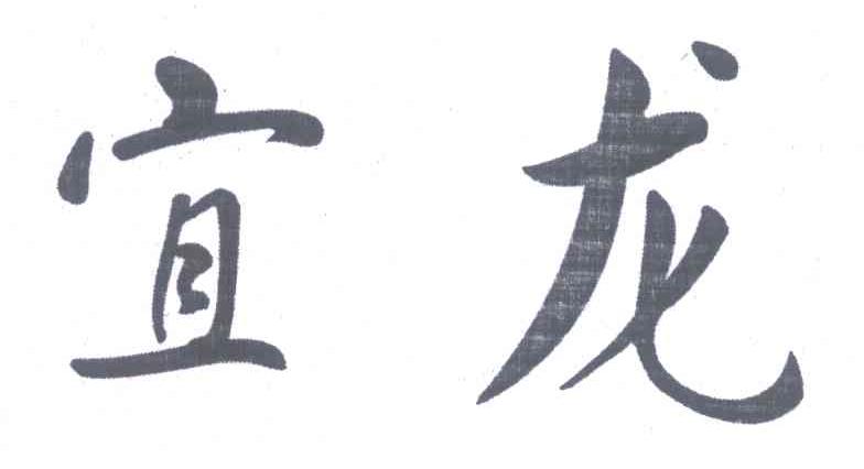 宜龙