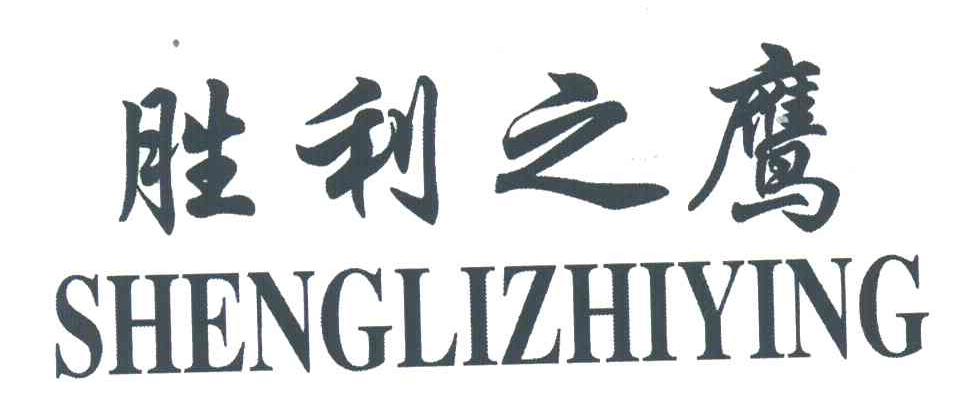 胜利之鹰