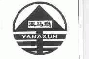 亚马逊