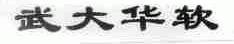 武大华软