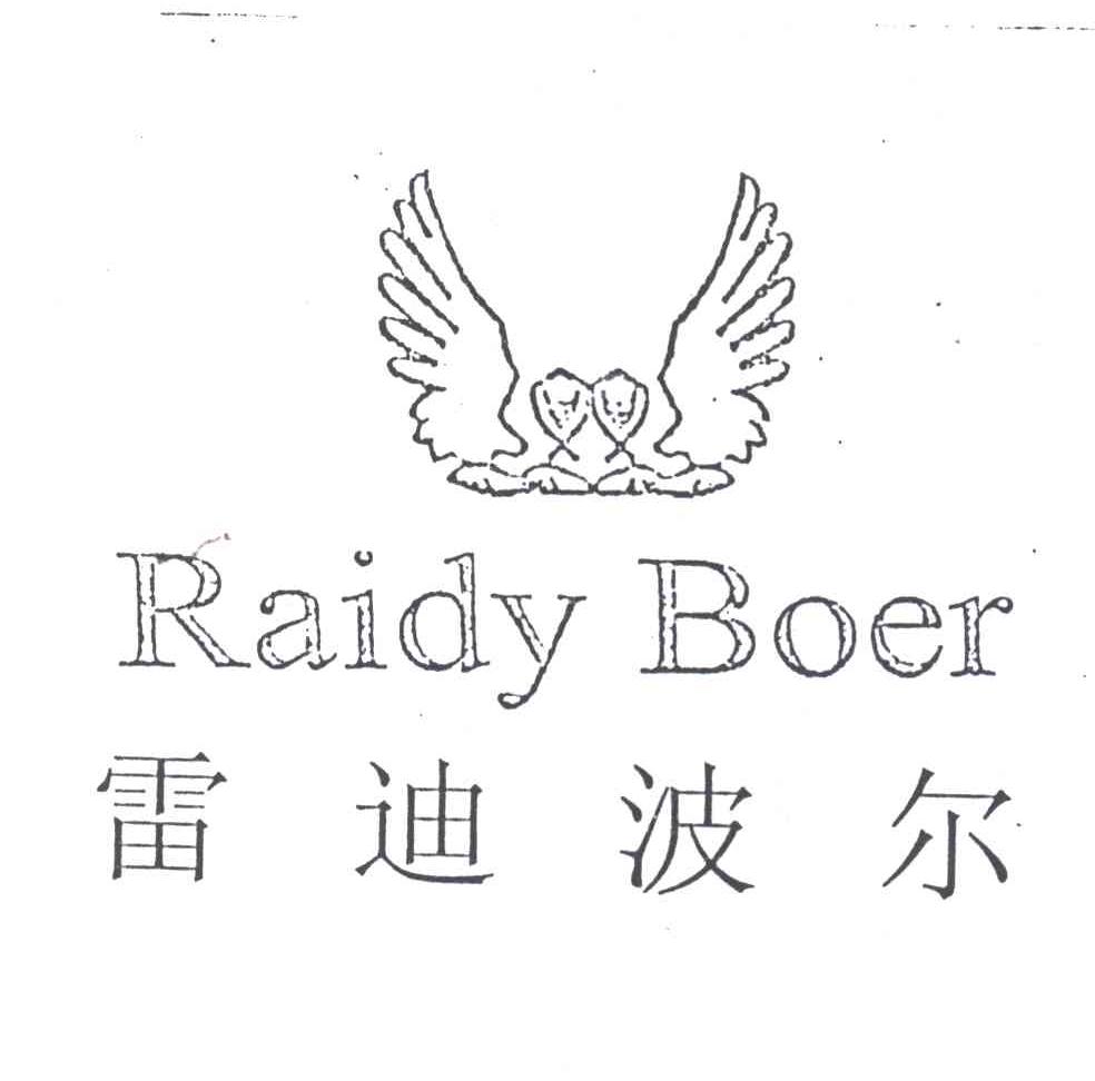 雷迪波尔RAIDY BOER