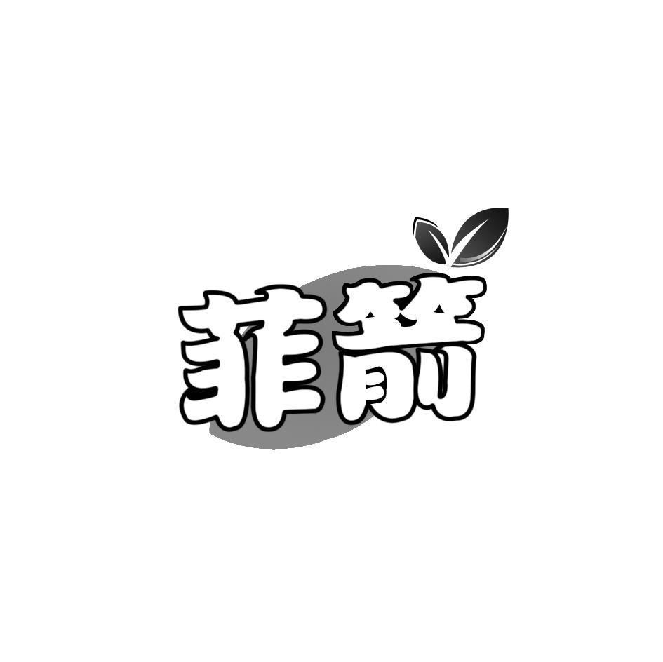菲箭