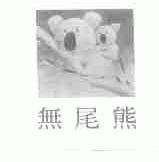 无尾熊