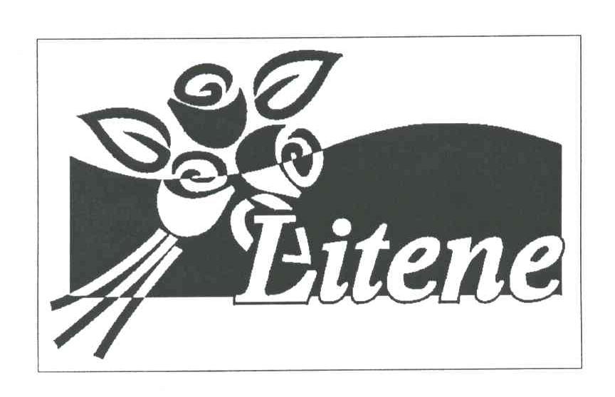 LITENE及图