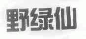 野绿仙