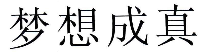 梦想成真