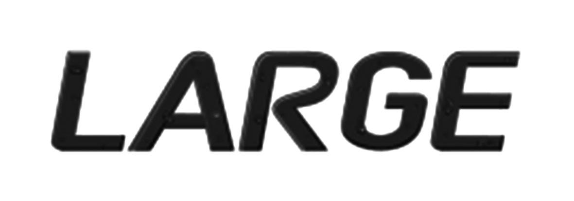 LARGE