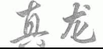 真龙