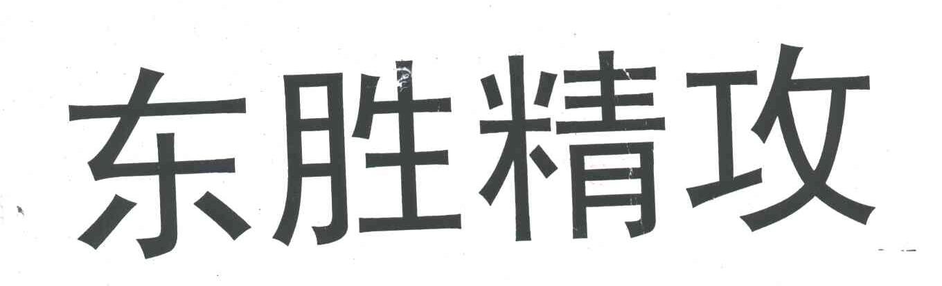 东胜精攻