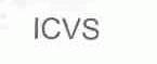 ICVS