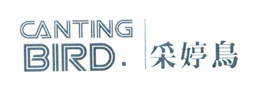 采婷鸟 CANTING BIRD