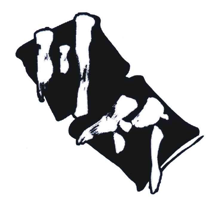 川竹