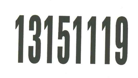 13151119