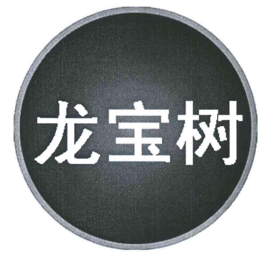 龙宝树