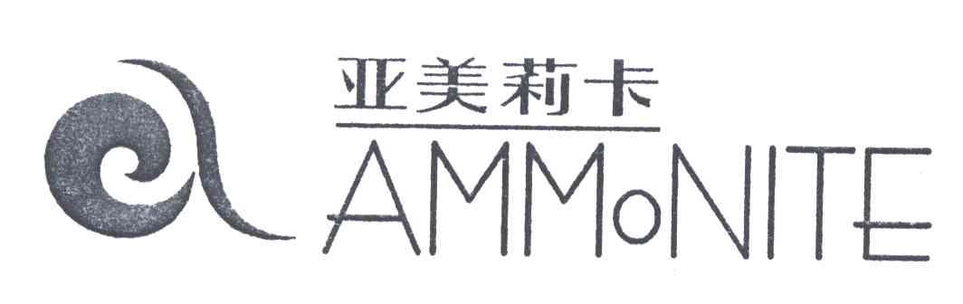 亚美莉卡;AMMONITE