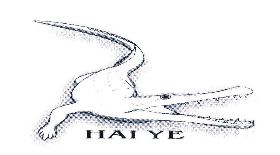 HAIYE
