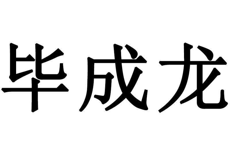 毕成龙