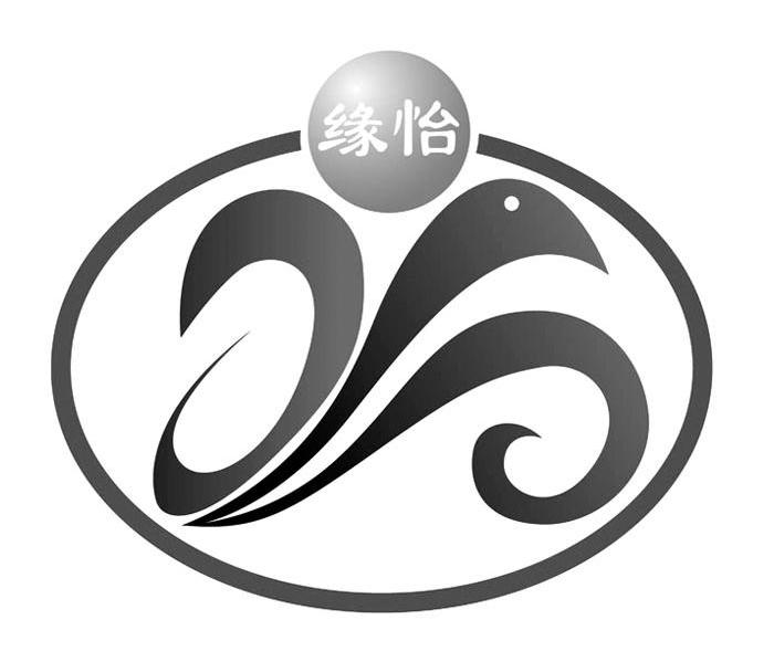 缘怡