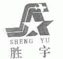 胜宇