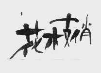 花枝俏