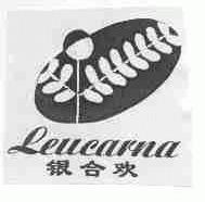 银合欢;LEUCARNA