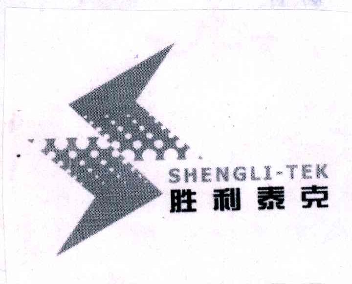 胜利泰克;SHENGLI-TEK