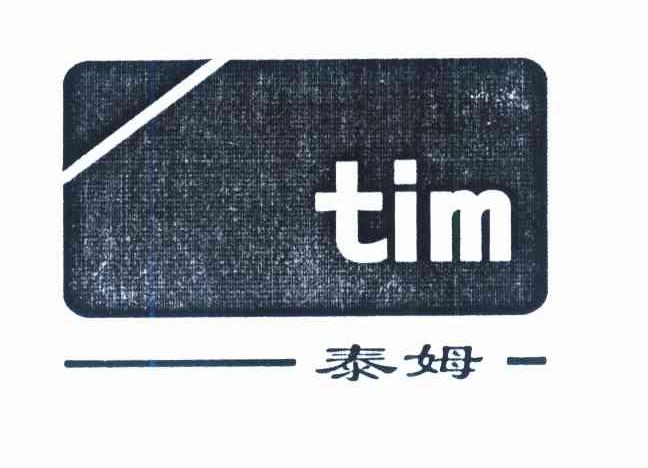 泰姆 TIM