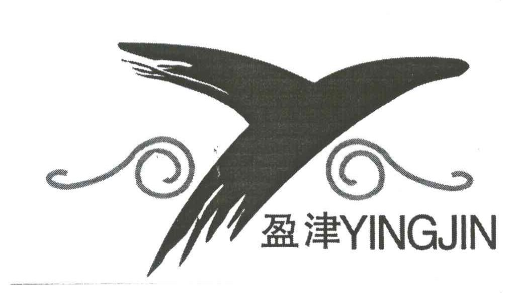 盈津;Y