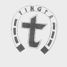 TINGTA