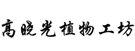 高晓光植物工坊