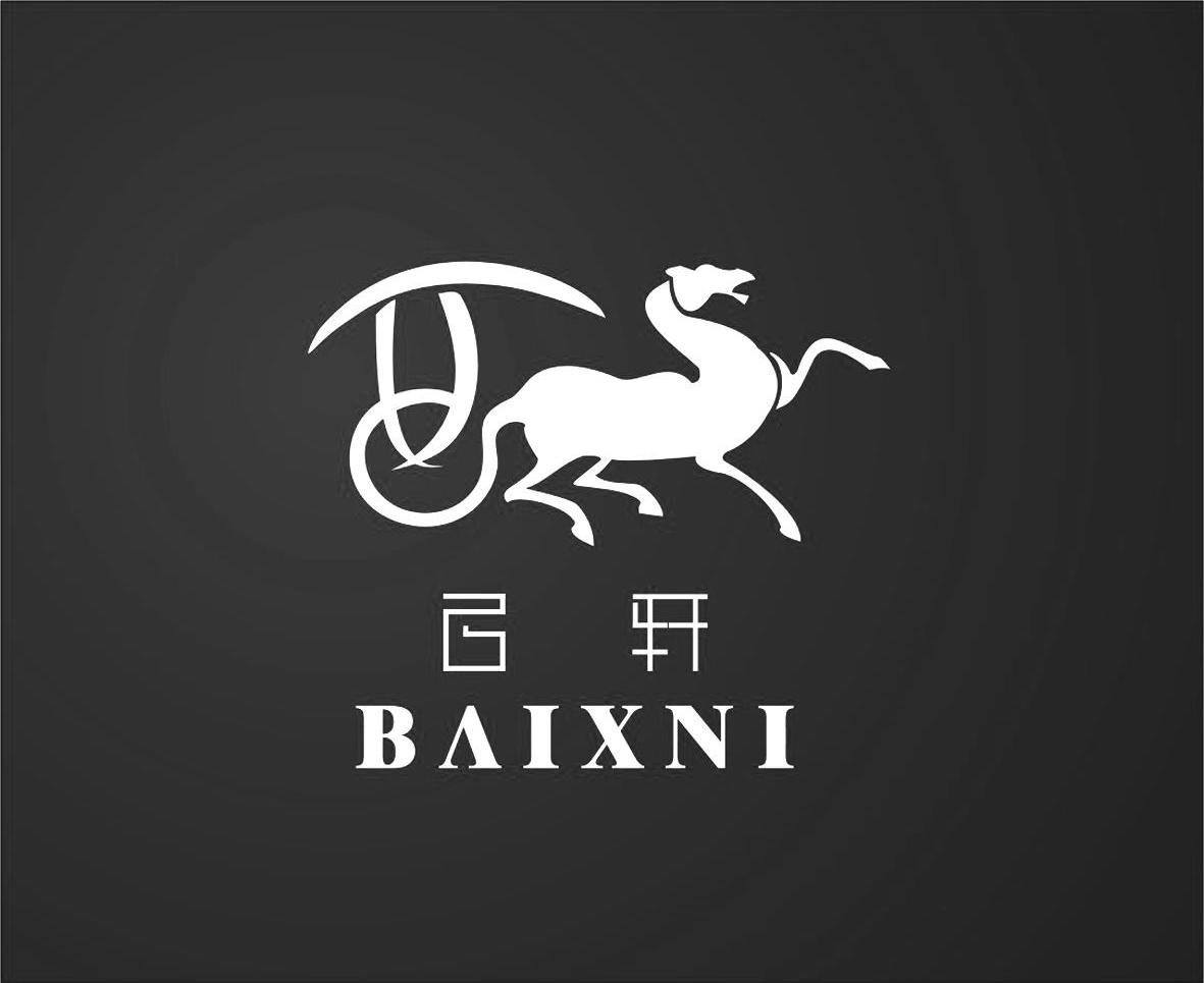 百轩 BAIXNI