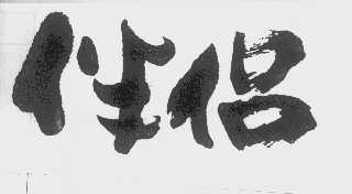 伴侣