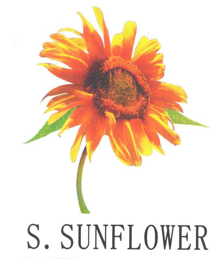 S.SUNFLOWER及图