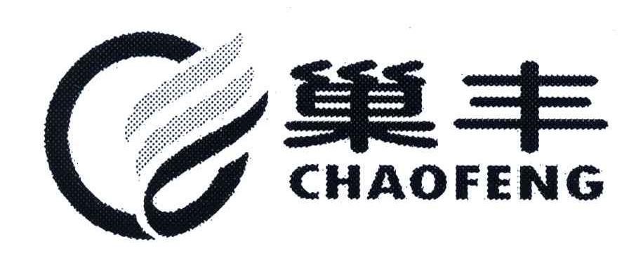巢丰