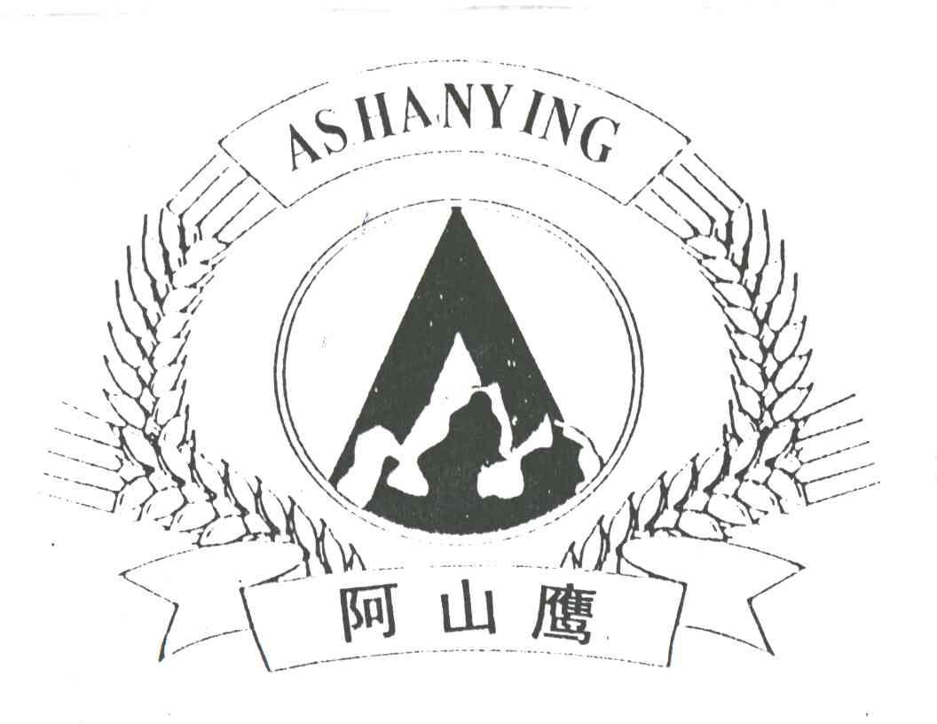 阿山鹰;ASHANYING