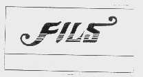 FILS