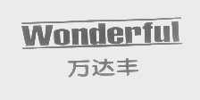 WONDERFUL   万达丰