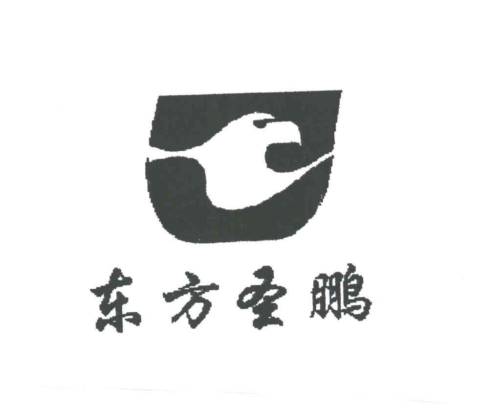 东方圣鹏